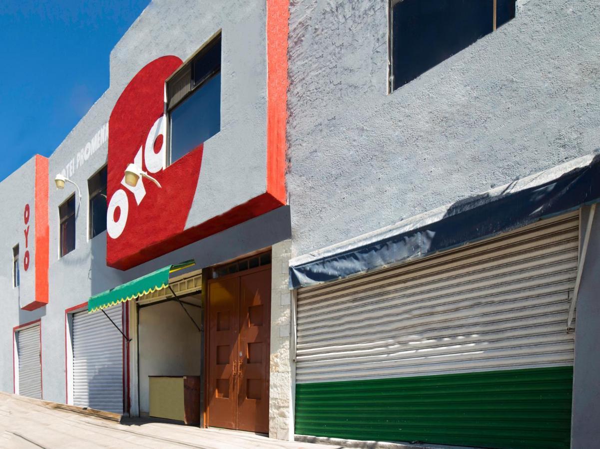 Oyo Promenade,Terminal Central De Autobuses De غواناخواتو المظهر الخارجي الصورة